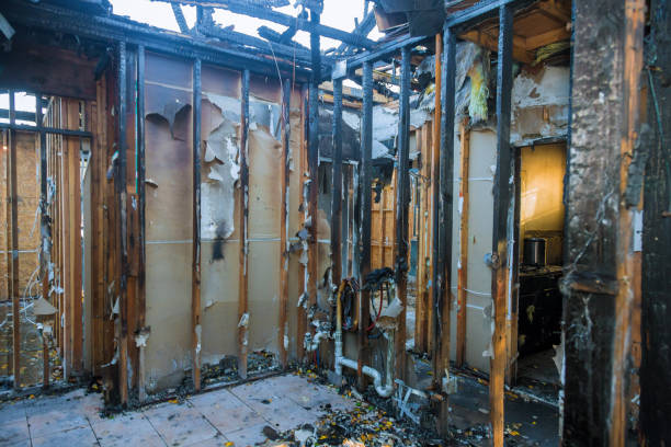 Professional Smoke Odor Removal technician working in Clinton, PA